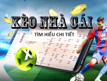 vn69 TOP  5 Nhà cái uy tín nhất năm 2023