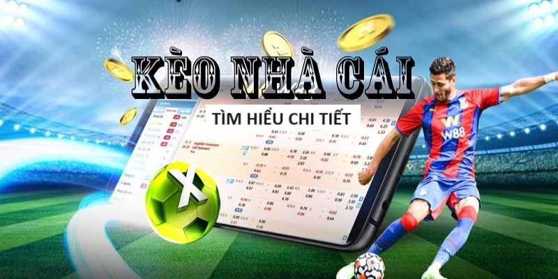 vn69 TOP  5 Nhà cái uy tín nhất năm 2023