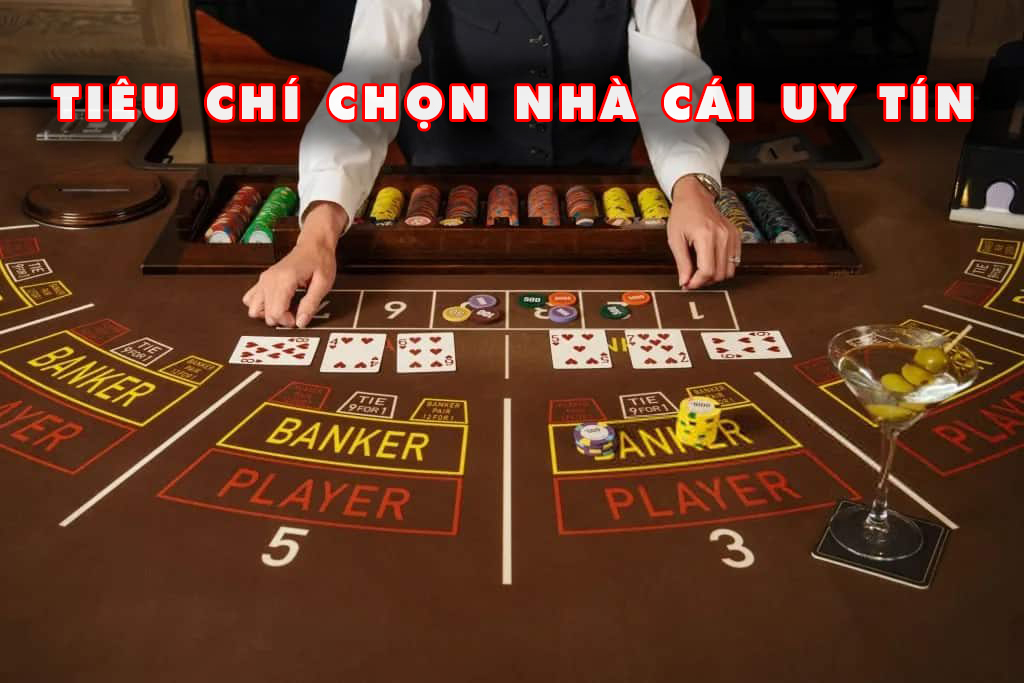 ZM88-Khám phá thế giới casino trực tuyến cùng chúng tôi!