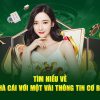 V868H tải game đánh bài ba cây