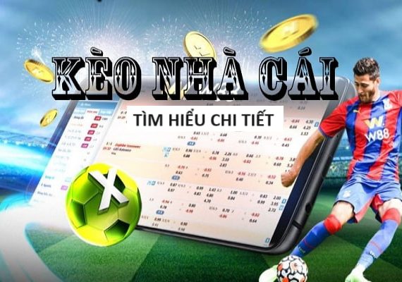 tinycat99 TOP 15 Nhà cái uy tín nhất Số 1 Châu Á